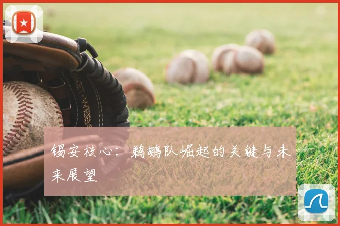 锡安核心：鹈鹕队崛起的关键与未来展望