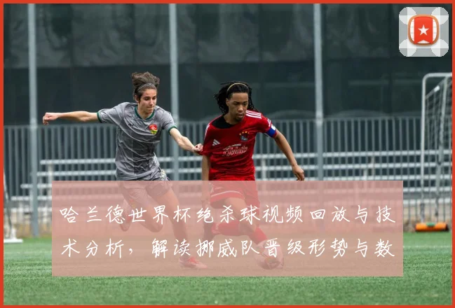 哈兰德世界杯绝杀球视频回放与技术分析，解读挪威队晋级形势与数据统计